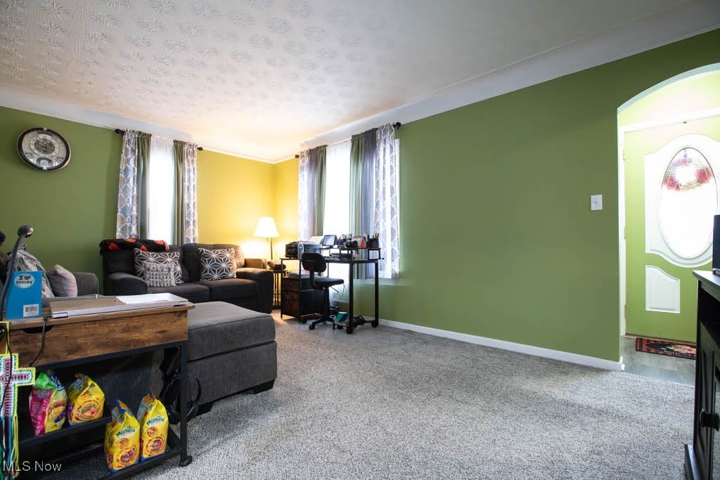 19310 Libby Road Maple Heights, OH 44137 - Photo 6 of 20 Living room featuring a healthy amount of sunlight, carpet floors, and a textured ceiling