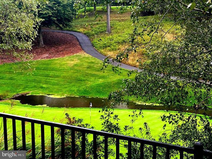 20366 Fallsway Terrace Sterling, VA 20165 - Photo 40 of 45 a view of a garden