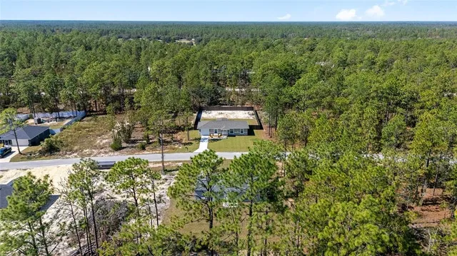 an aerial view of residential houses with outdoor space and trees