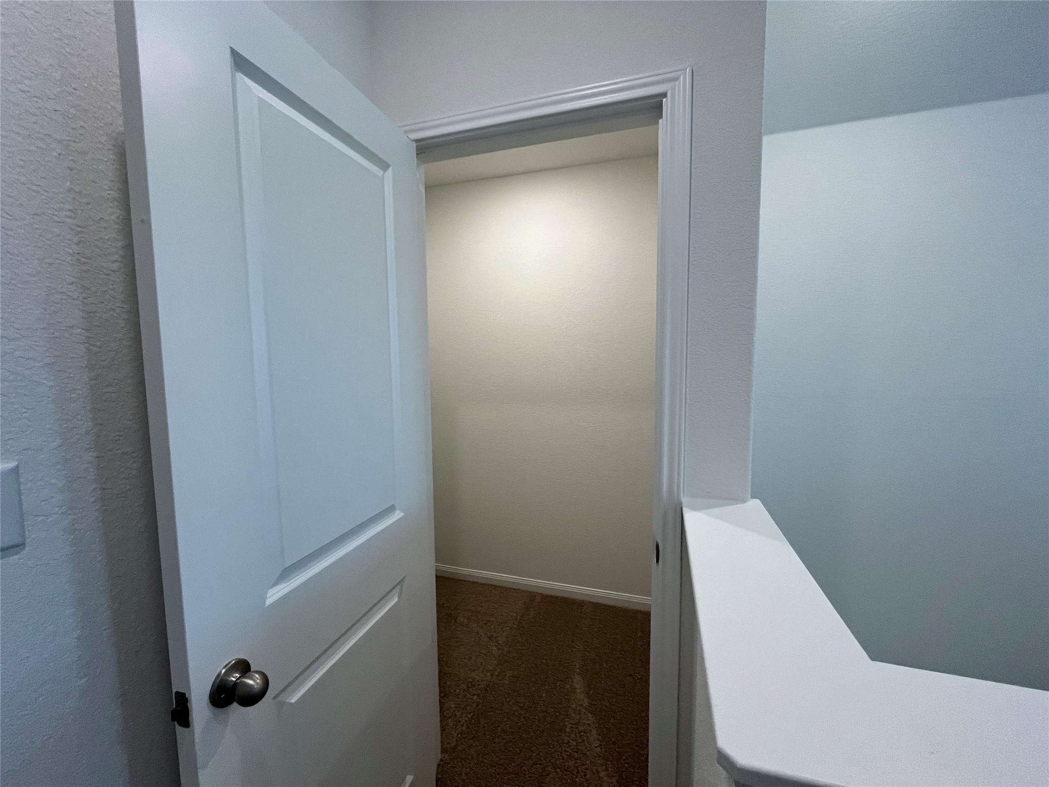 8518 Wellspring Loop Round Rock, TX 78665 - Photo 18 of 32 Upstairs loft storage closet