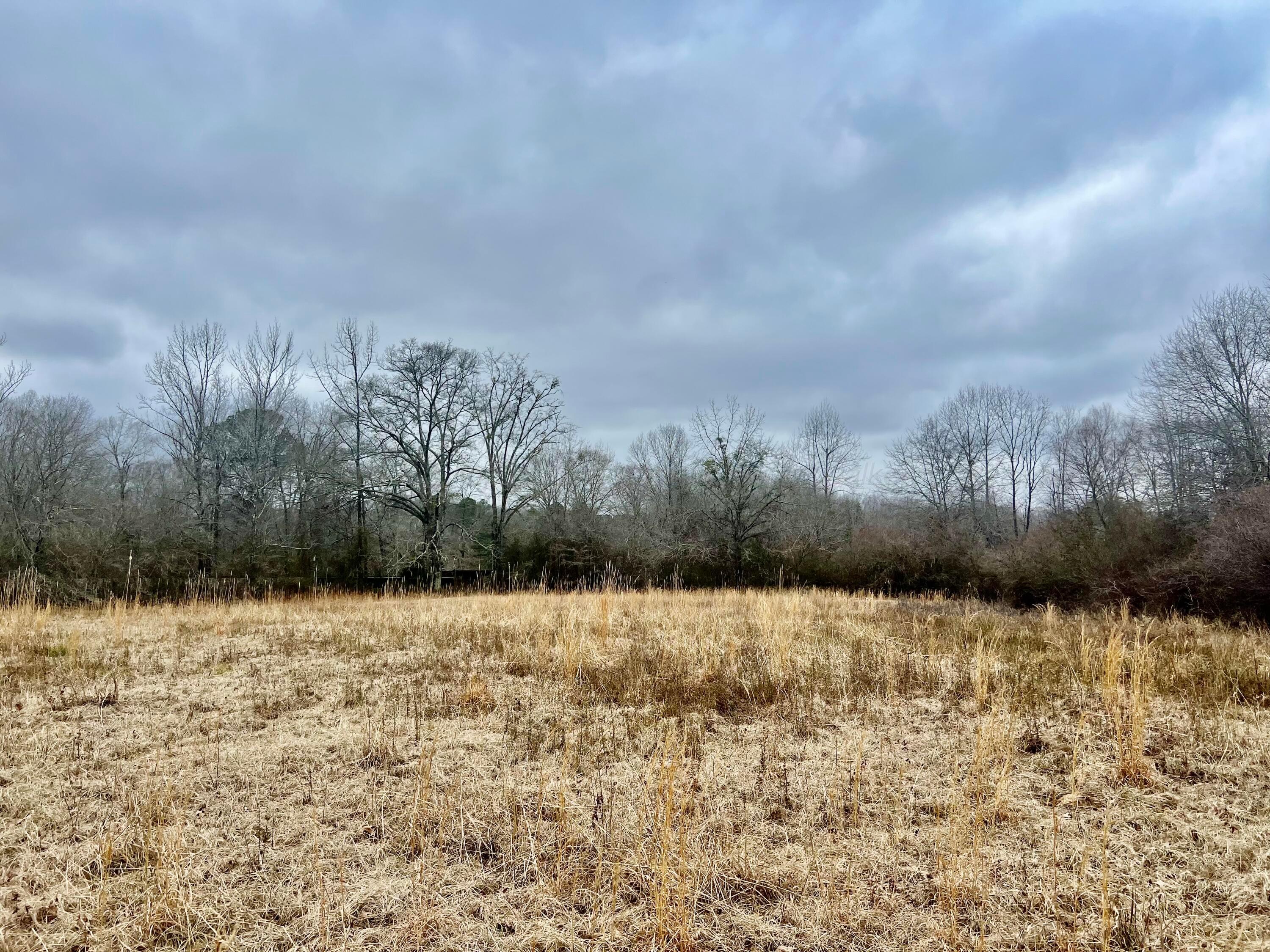 Trull Road Winfield, AL 35594 - Photo 17 of 24 Gallery Image 17