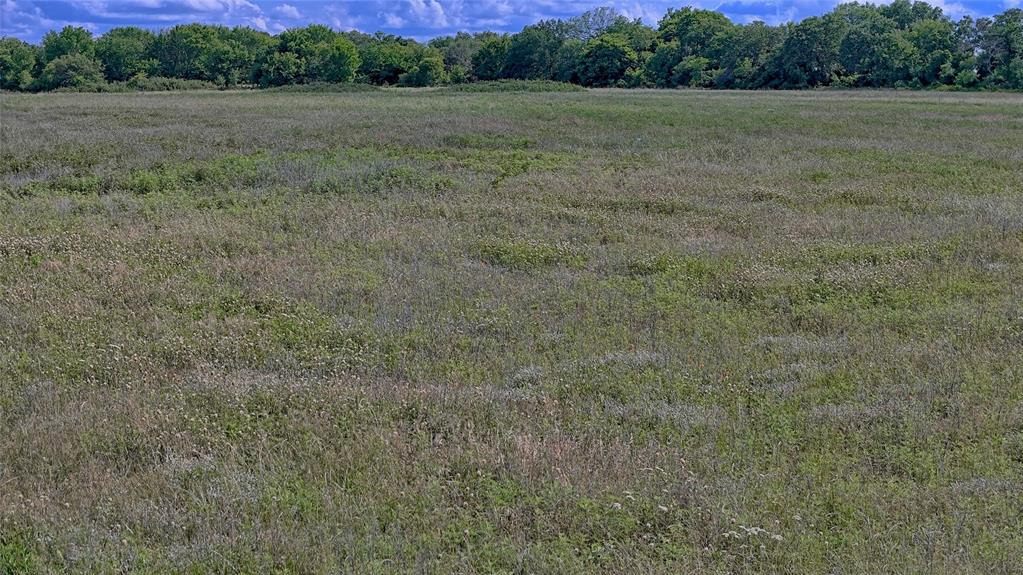 1494 Alamo Road Montague, TX 76251 - Photo 11 of 18