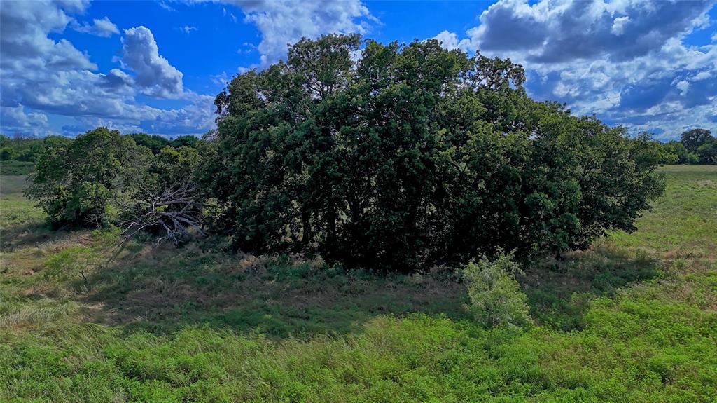 1494 Alamo Road Montague, TX 76251 - Photo 13 of 18