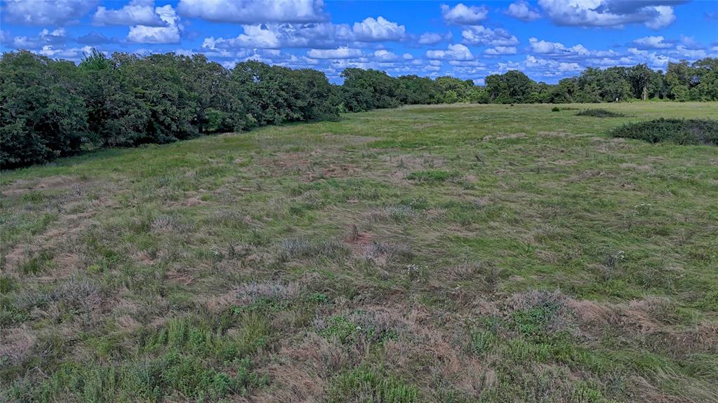 1494 Alamo Road Montague, TX 76251 - Photo 3 of 18