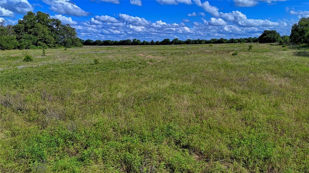 1494 Alamo Road Montague, TX 76251 - Photo 5 of 18