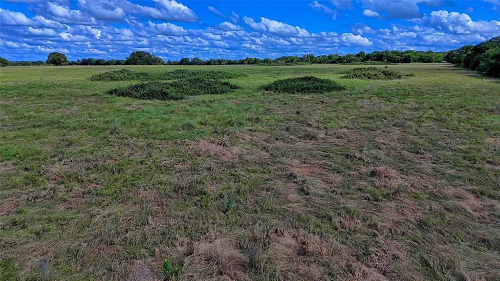 1494 Alamo Road Montague, TX 76251 - Photo 6 of 18