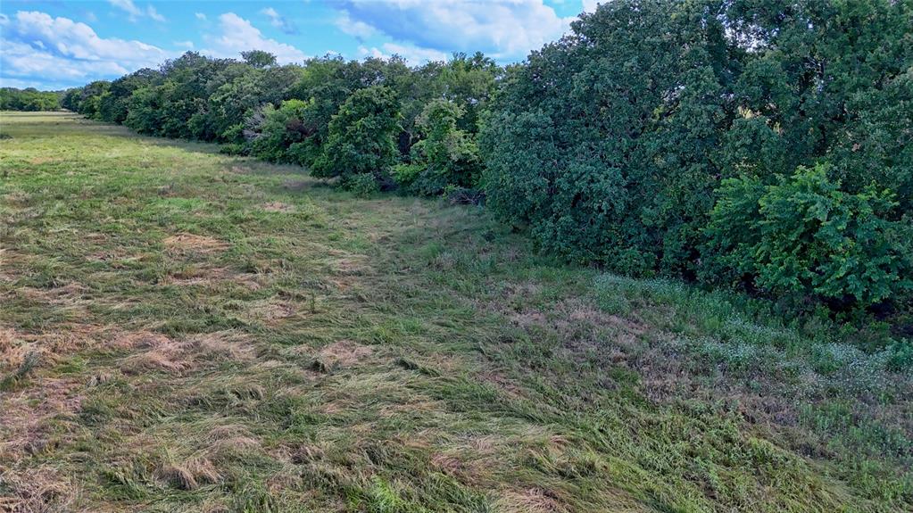 1494 Alamo Road Montague, TX 76251 - Photo 7 of 18