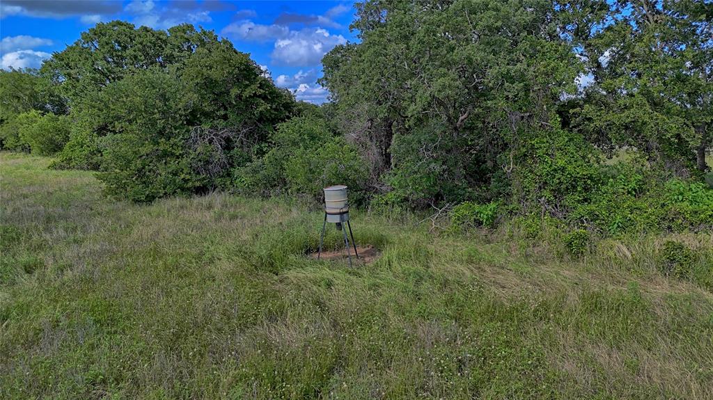 1494 Alamo Road Montague, TX 76251 - Photo 10 of 18