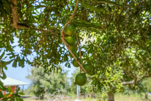 $829,000 | 89-995 Hawaii Belt Road, Captain Cook, HI 96704