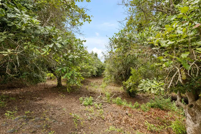 $829,000 | 89-995 Hawaii Belt Road, Captain Cook, HI 96704