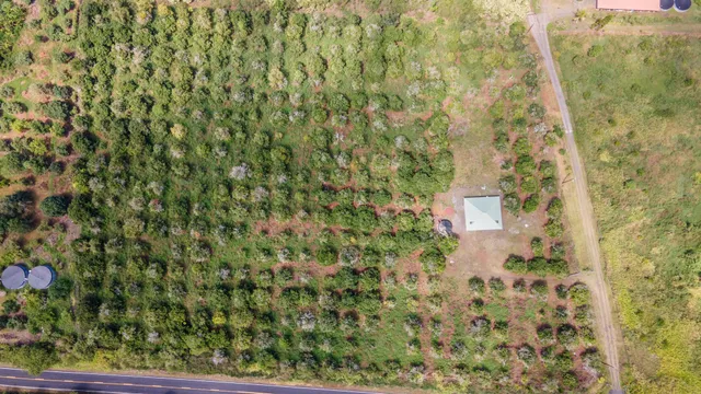 $829,000 | 89-995 Hawaii Belt Road, Captain Cook, HI 96704