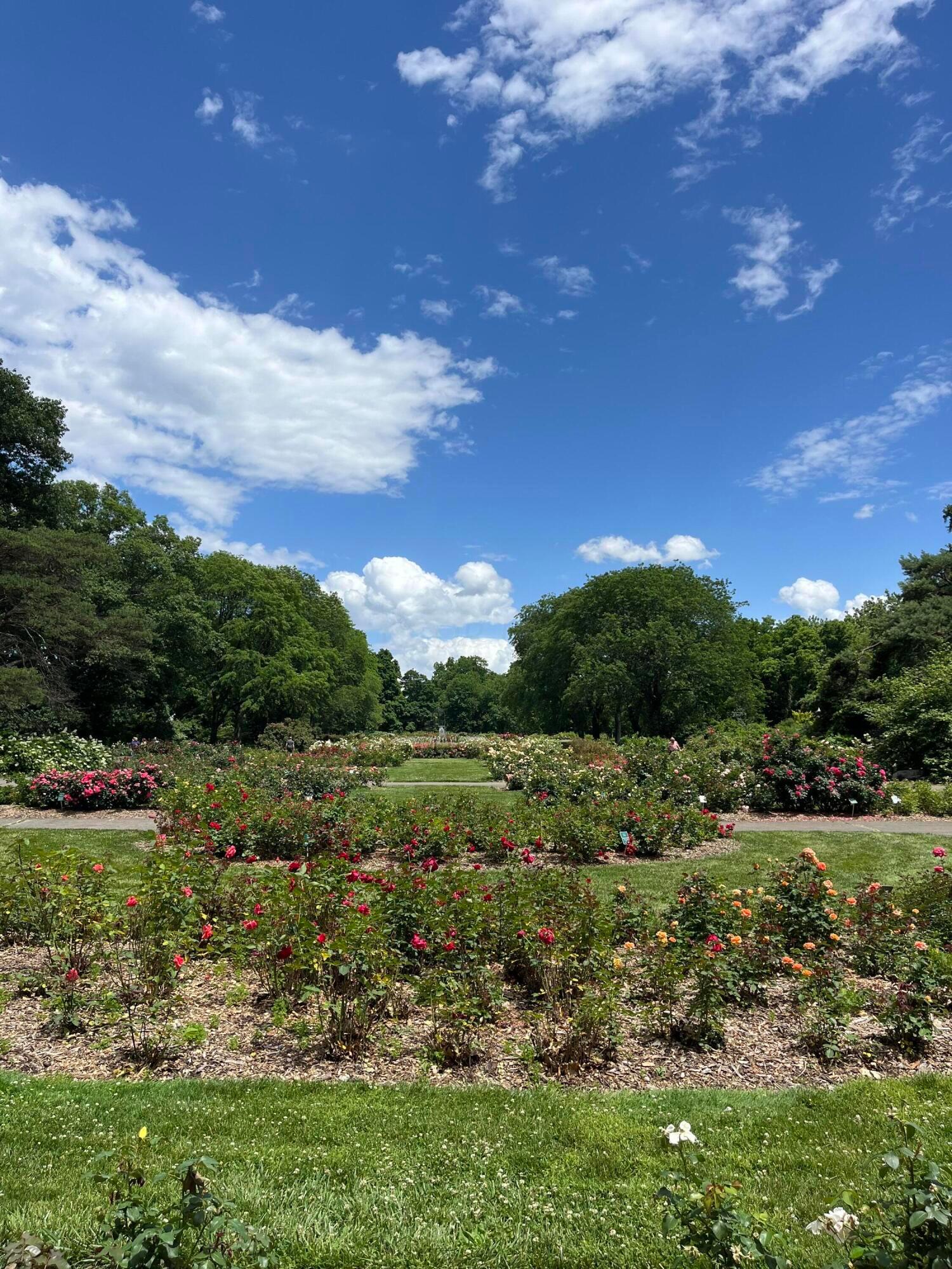 93 East Torrence Road Columbus, OH 43214 - Photo 36 of 41 Park of Roses