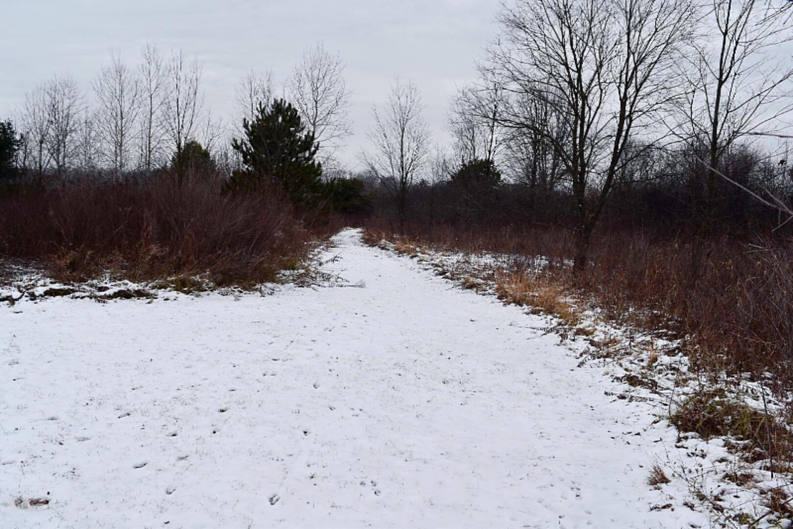 6970 Farr Road Nunica, MI 49448 - Photo 6 of 34 Trail to Pond