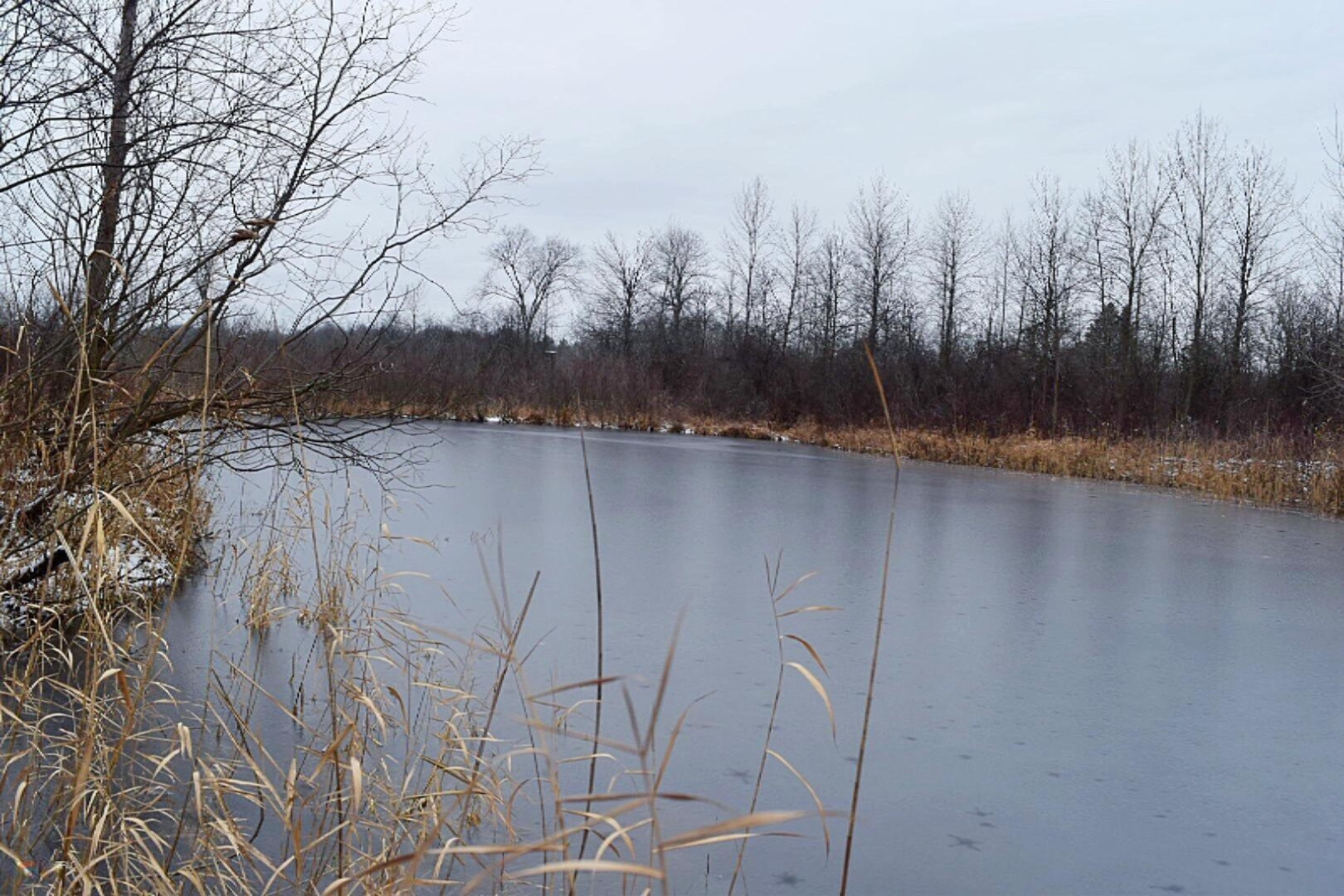 6970 Farr Road Nunica, MI 49448 - Photo 7 of 34 Private Pond Stocked With Fish