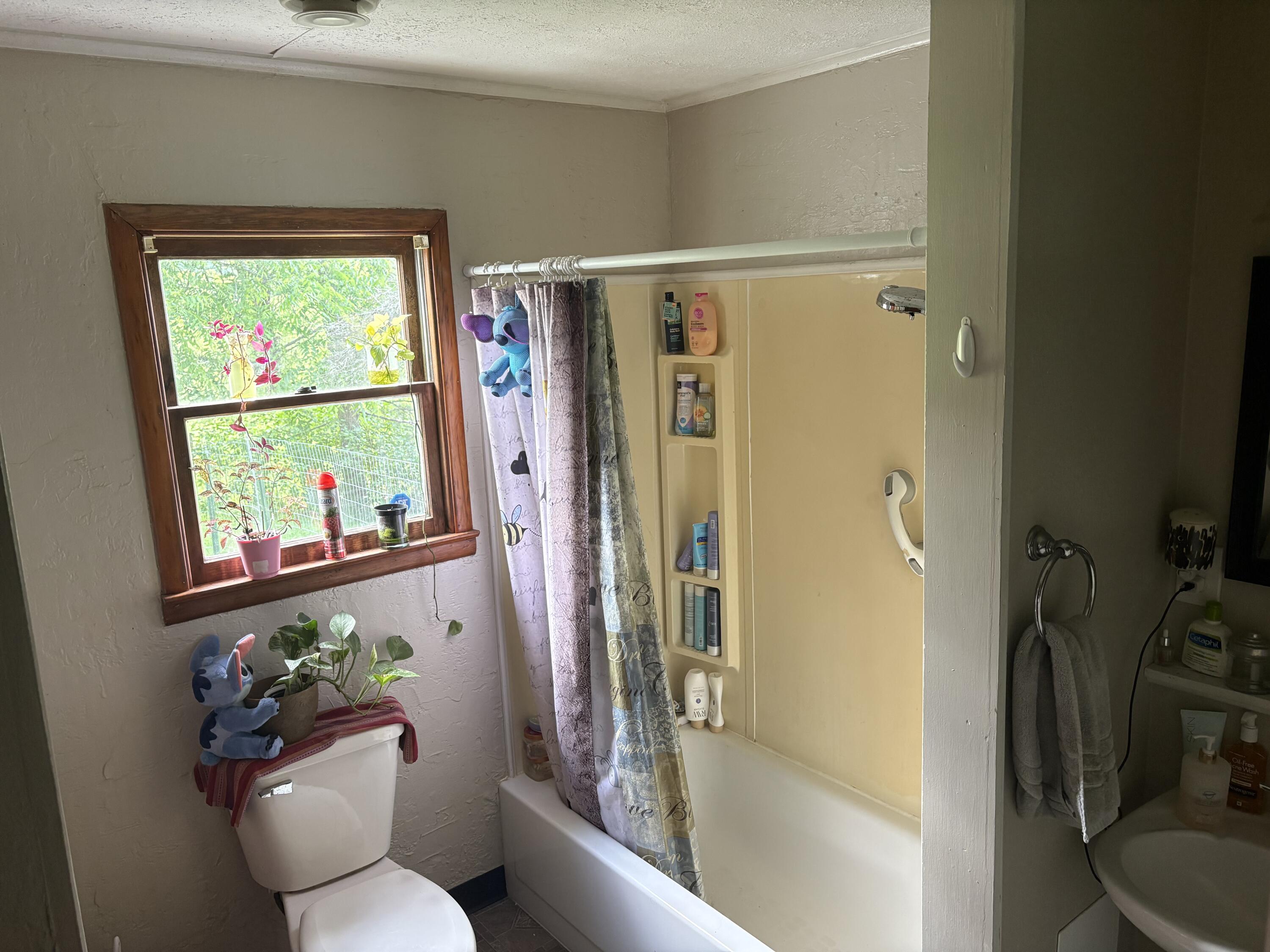 14110 Hicks Lake Road Evart, MI 49631 - Photo 26 of 54 IMG_1871