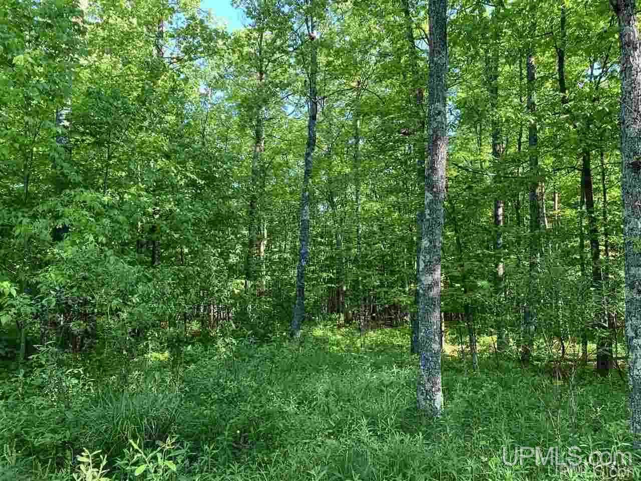 11567 Pirkola Road Watton, MI 49970 - Photo 5 of 13