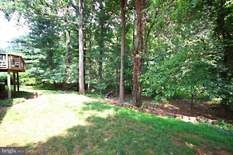 7721 Falstaff Road McLean, VA 22102 - Photo 20 of 27 Back yard