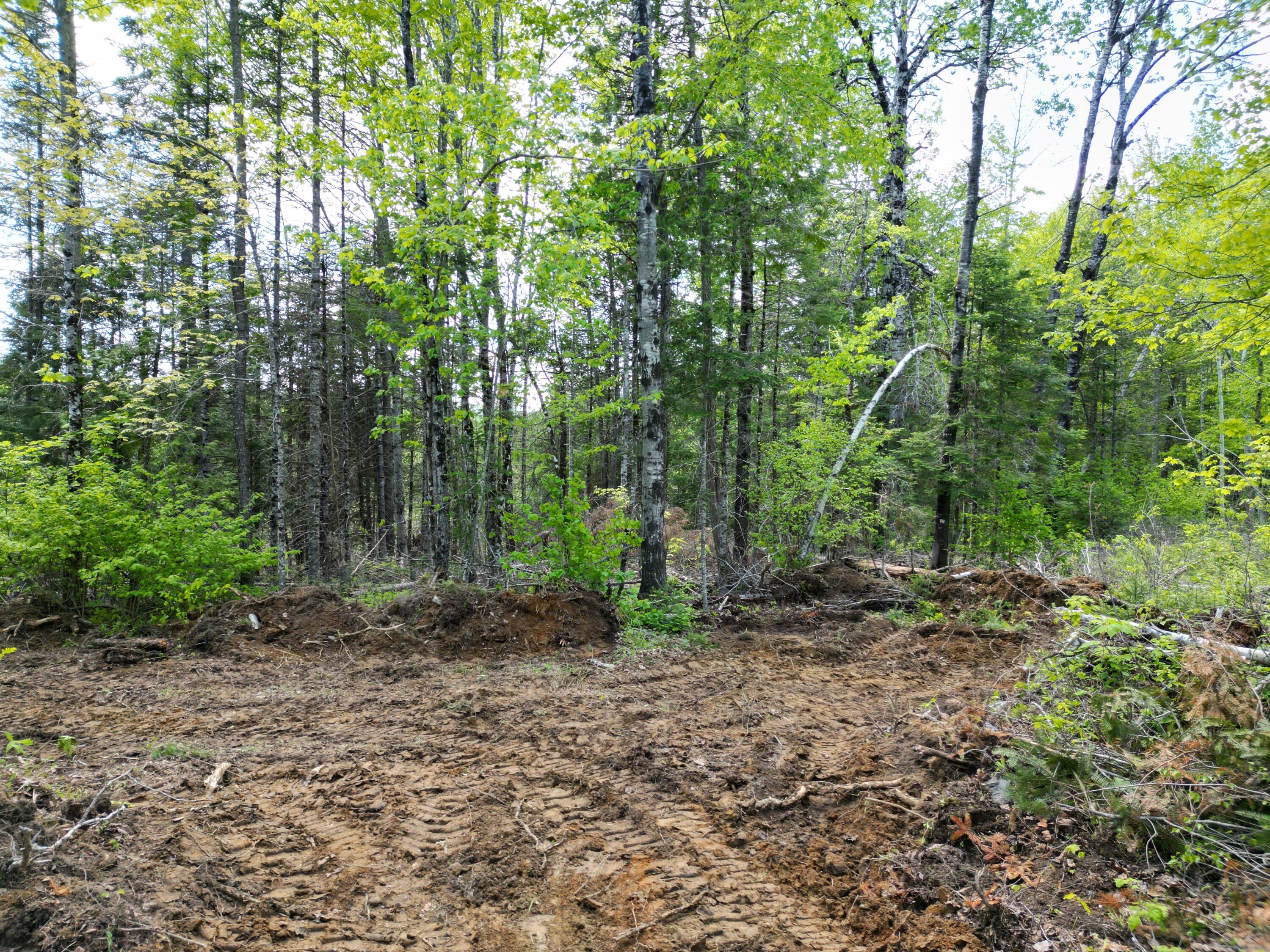 Lot 12-1a Hale Farm Road Lee, ME 04455 - Photo 2 of 14 DJI_0015