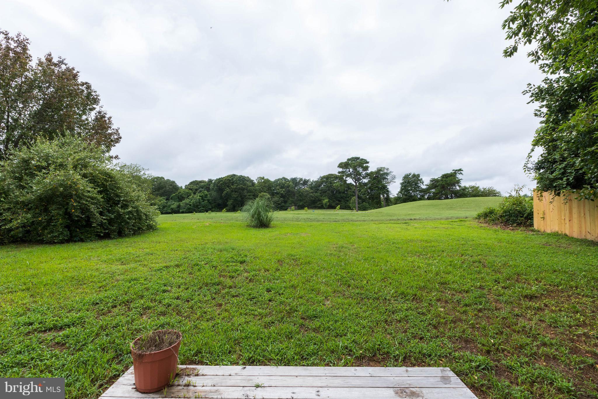 11207 Rawhide Road Lusby, MD 20657 - Photo 23 of 25 a view of a garden with a fountain