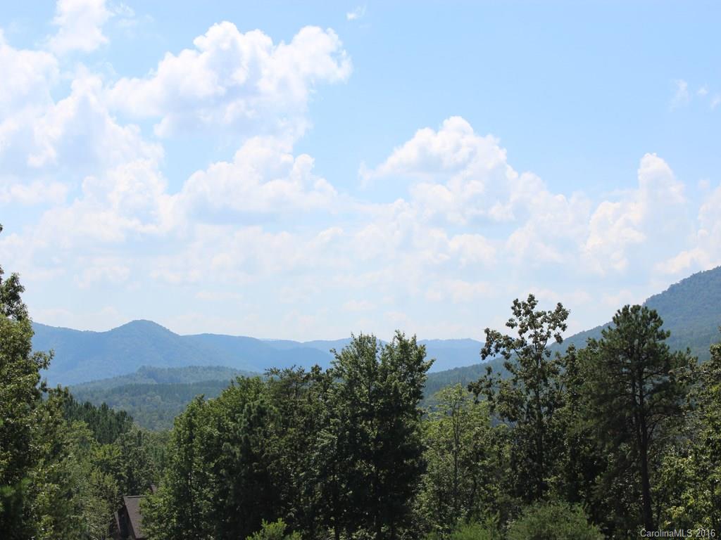 911 Deep Gap Farm Road East, Unit 39 Mill Spring, NC 28756 - Photo 1 of 23