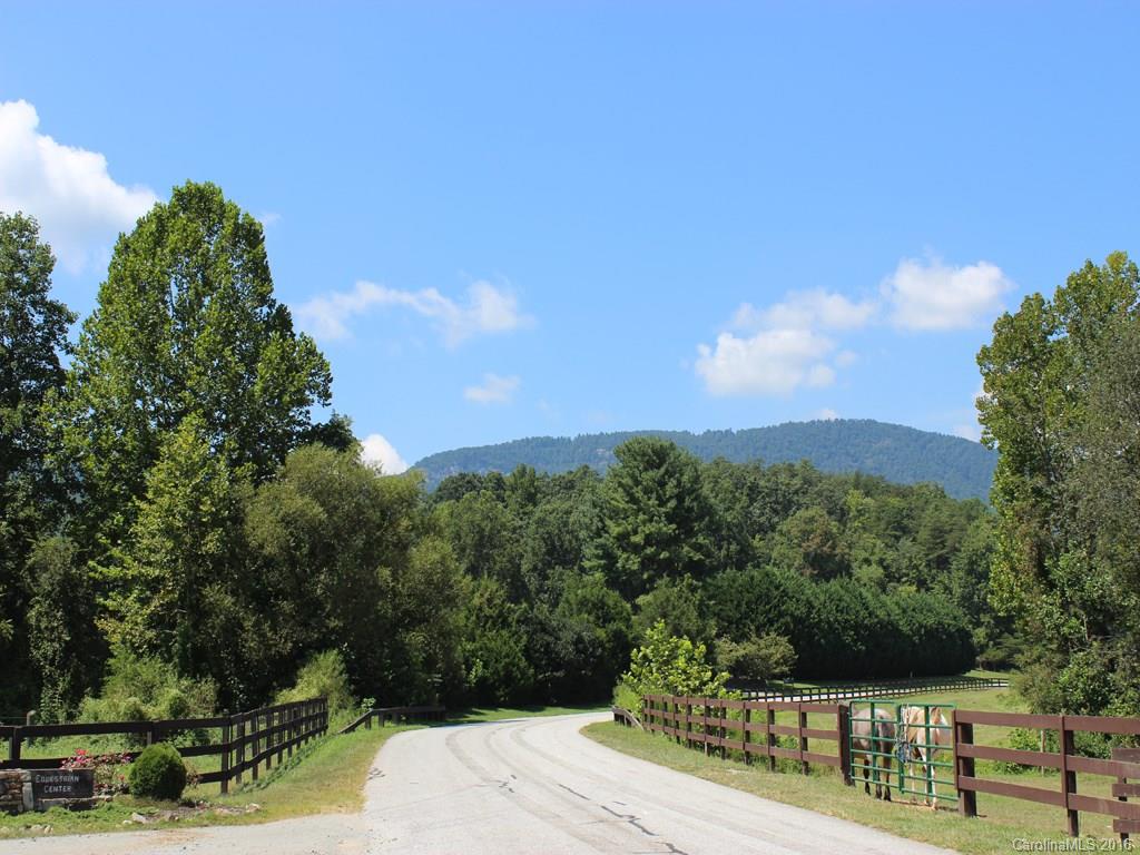 911 Deep Gap Farm Road East, Unit 39 Mill Spring, NC 28756 - Photo 2 of 23