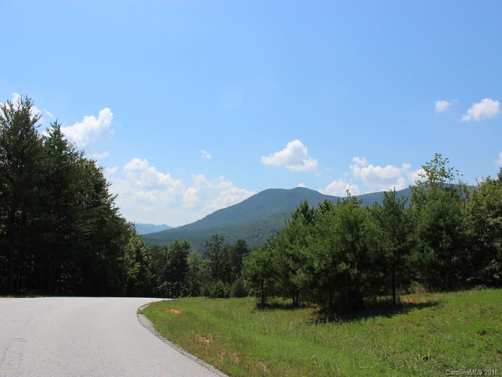 911 Deep Gap Farm Road East, Unit 39 Mill Spring, NC 28756 - Photo 11 of 23
