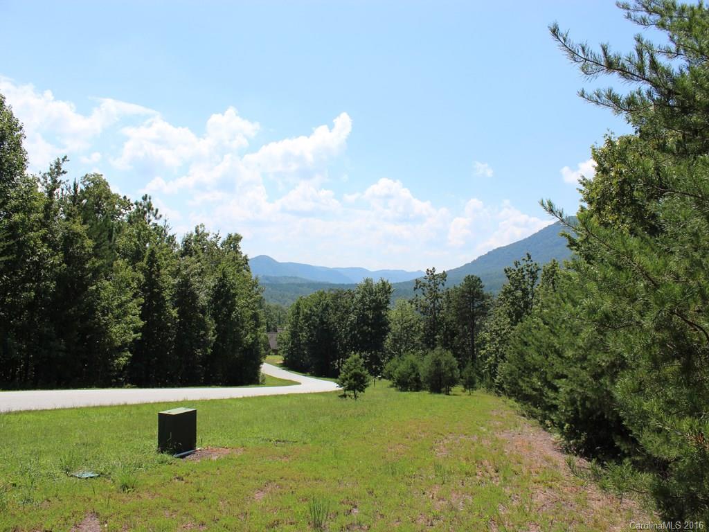 911 Deep Gap Farm Road East, Unit 39 Mill Spring, NC 28756 - Photo 12 of 23