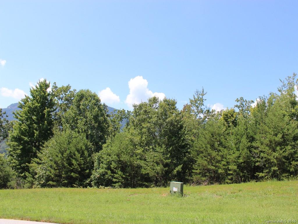 911 Deep Gap Farm Road East, Unit 39 Mill Spring, NC 28756 - Photo 14 of 23