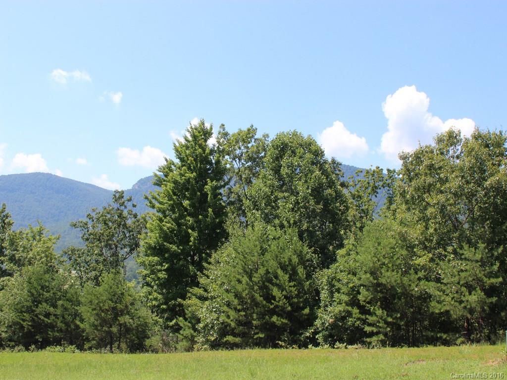 911 Deep Gap Farm Road East, Unit 39 Mill Spring, NC 28756 - Photo 15 of 23