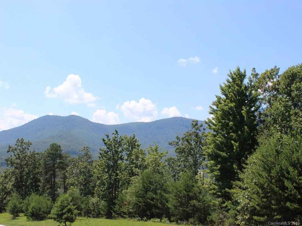 911 Deep Gap Farm Road East, Unit 39 Mill Spring, NC 28756 - Photo 16 of 23