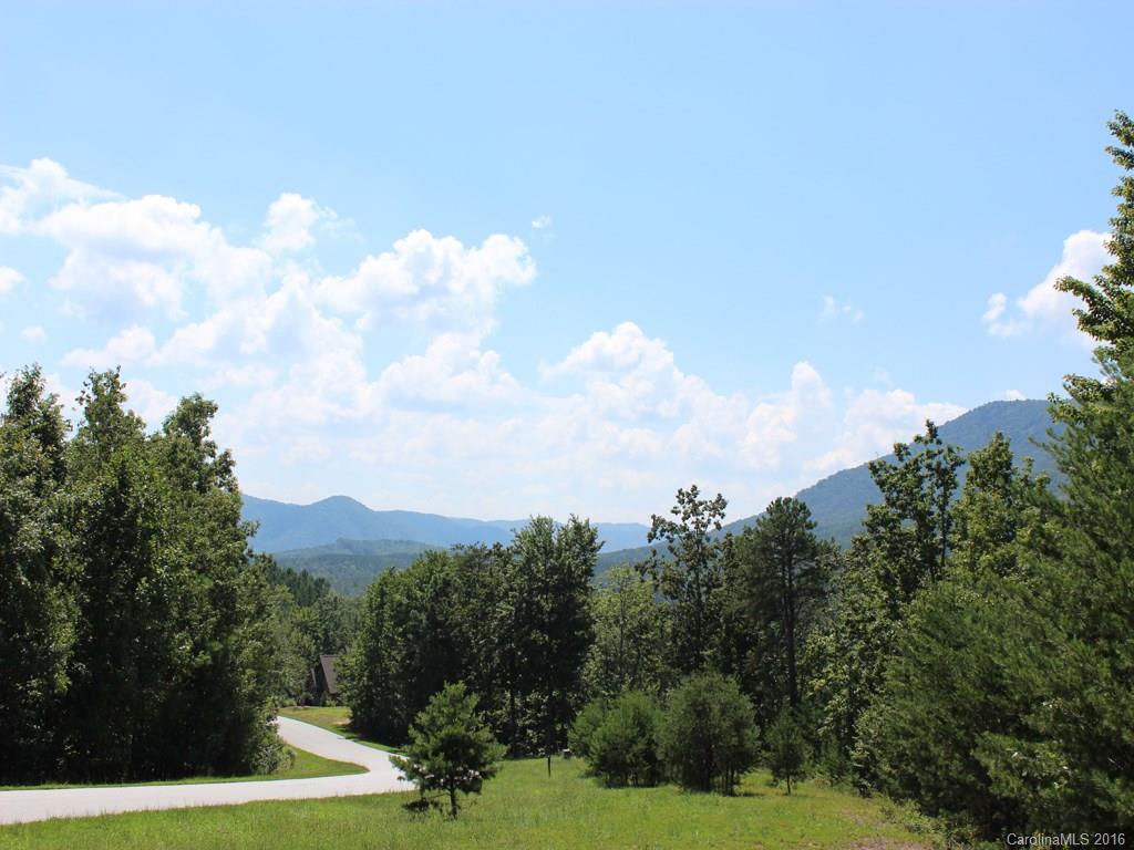 911 Deep Gap Farm Road East, Unit 39 Mill Spring, NC 28756 - Photo 17 of 23