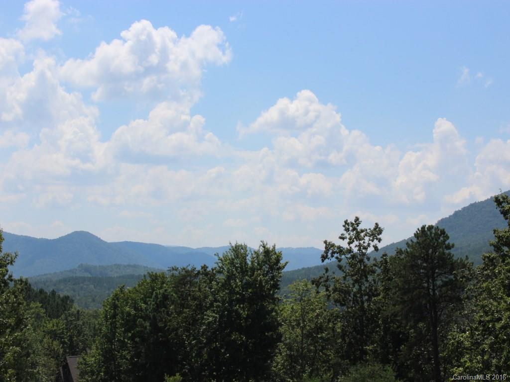 911 Deep Gap Farm Road East, Unit 39 Mill Spring, NC 28756 - Photo 18 of 23