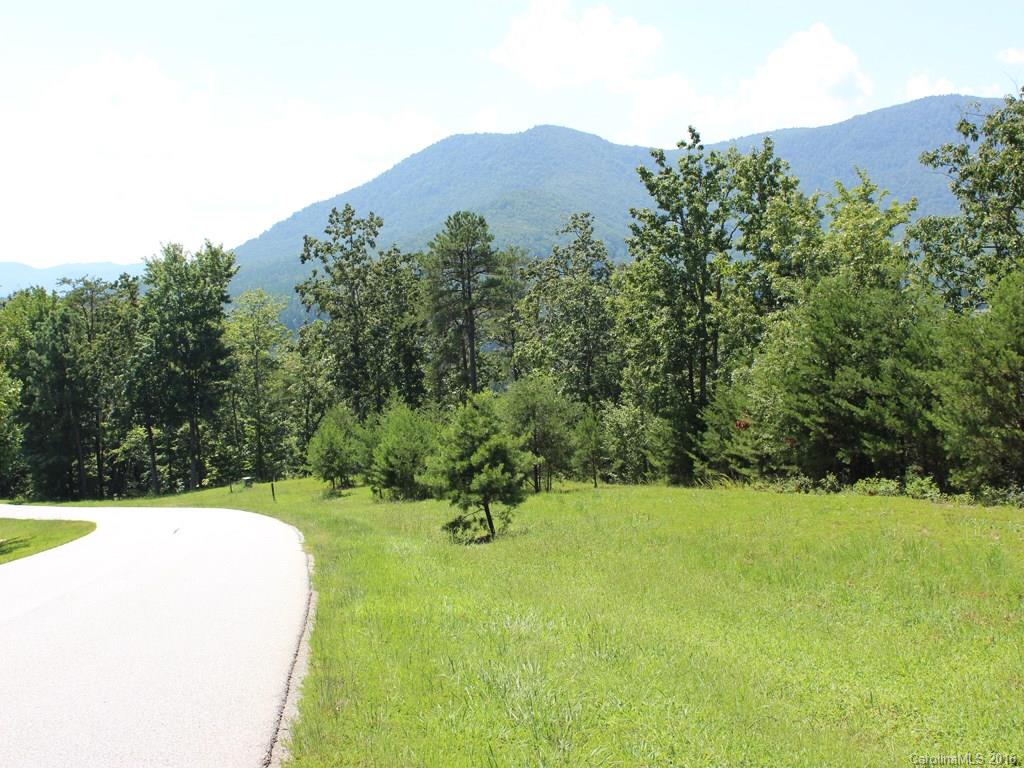 911 Deep Gap Farm Road East, Unit 39 Mill Spring, NC 28756 - Photo 20 of 23