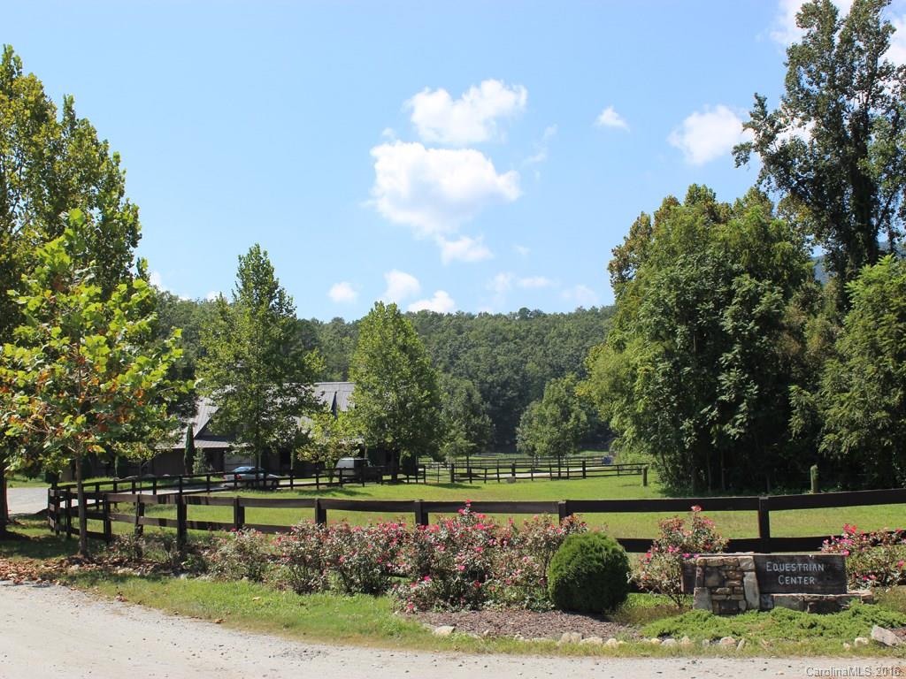 911 Deep Gap Farm Road East, Unit 39 Mill Spring, NC 28756 - Photo 3 of 23