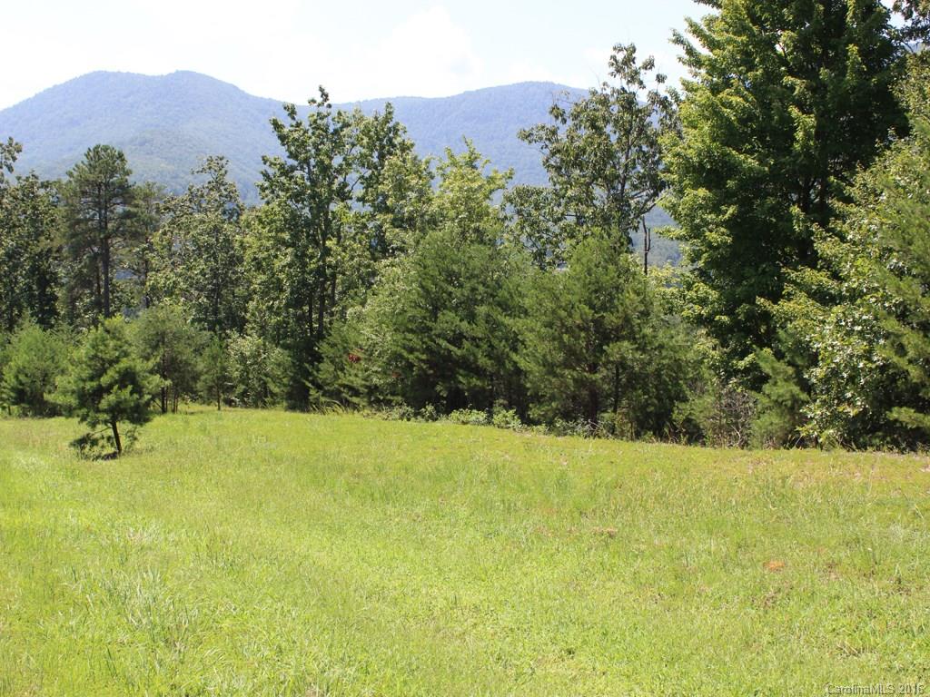 911 Deep Gap Farm Road East, Unit 39 Mill Spring, NC 28756 - Photo 21 of 23