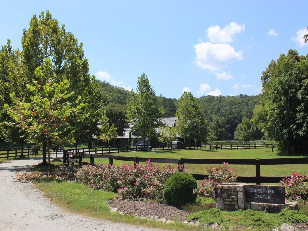 911 Deep Gap Farm Road East, Unit 39 Mill Spring, NC 28756 - Photo 4 of 23