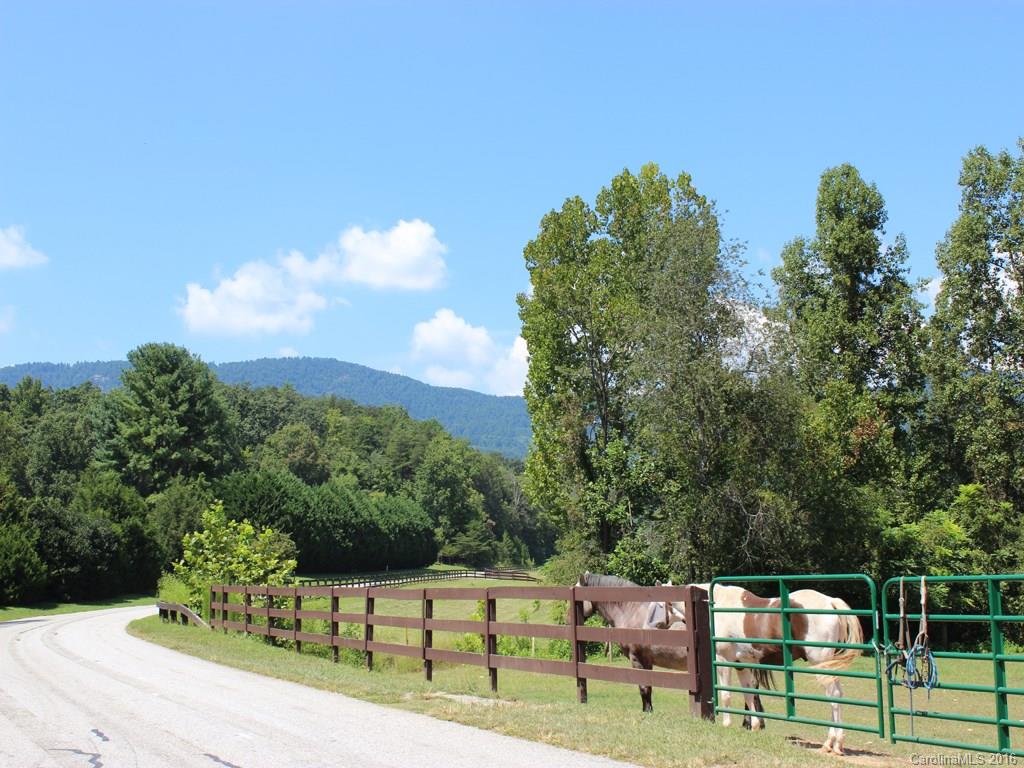 911 Deep Gap Farm Road East, Unit 39 Mill Spring, NC 28756 - Photo 5 of 23