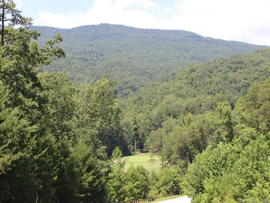 911 Deep Gap Farm Road East, Unit 39 Mill Spring, NC 28756 - Photo 7 of 23