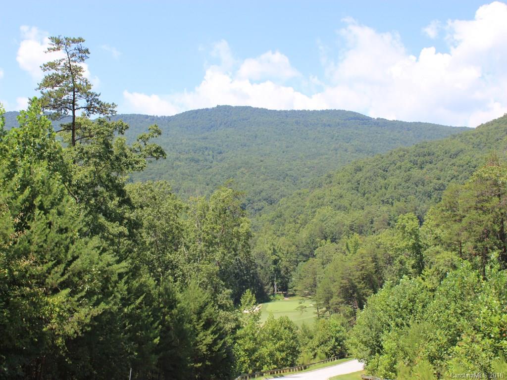 911 Deep Gap Farm Road East, Unit 39 Mill Spring, NC 28756 - Photo 8 of 23