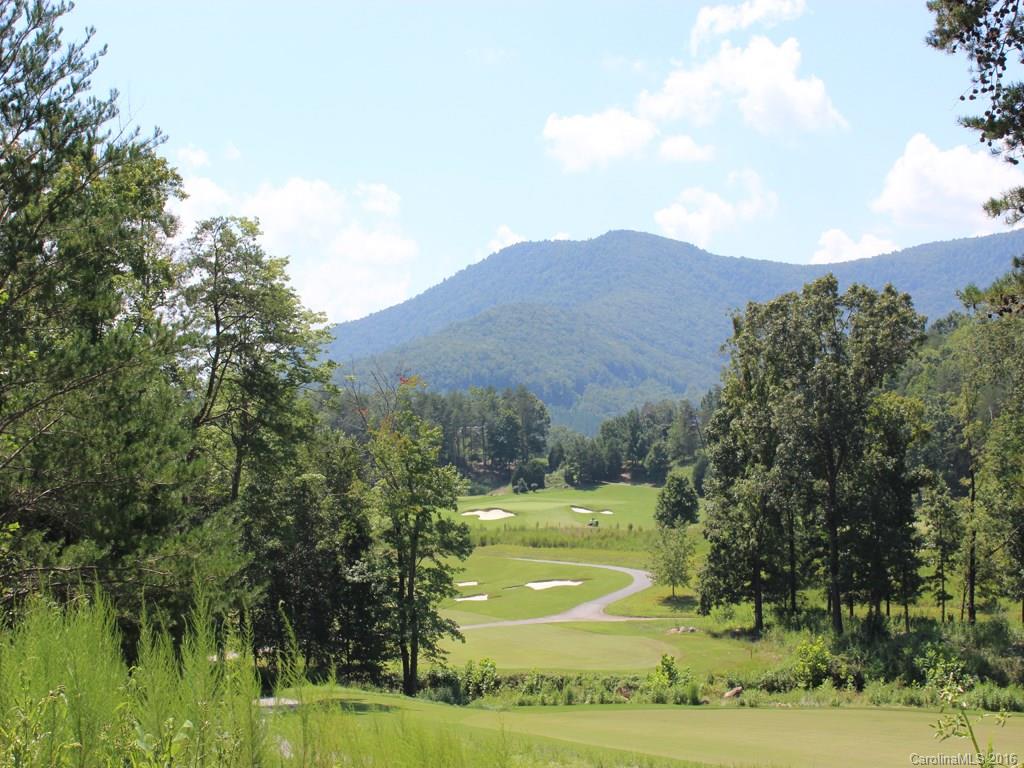 911 Deep Gap Farm Road East, Unit 39 Mill Spring, NC 28756 - Photo 9 of 23