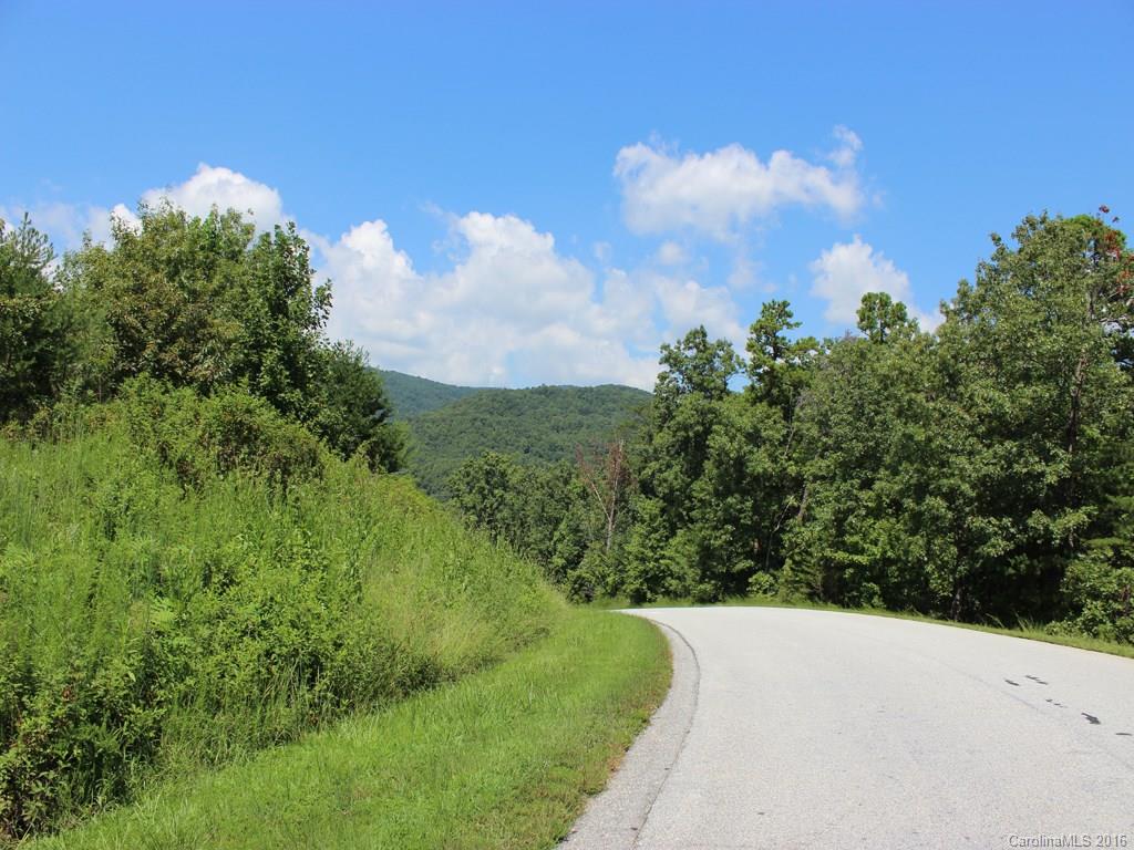 911 Deep Gap Farm Road East, Unit 39 Mill Spring, NC 28756 - Photo 10 of 23