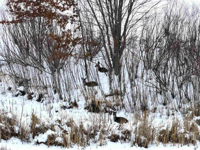 $54,500 | Lot 7 Golf Course, Brodhead, WI 53520