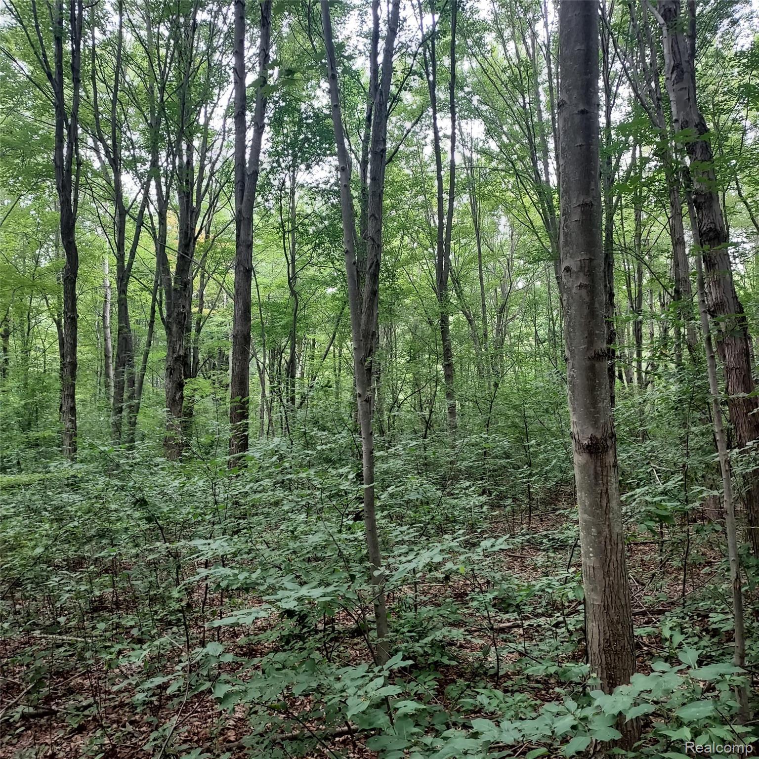 0 West North Union Road Midland, MI 48642 - Photo 2 of 3 2.jpg