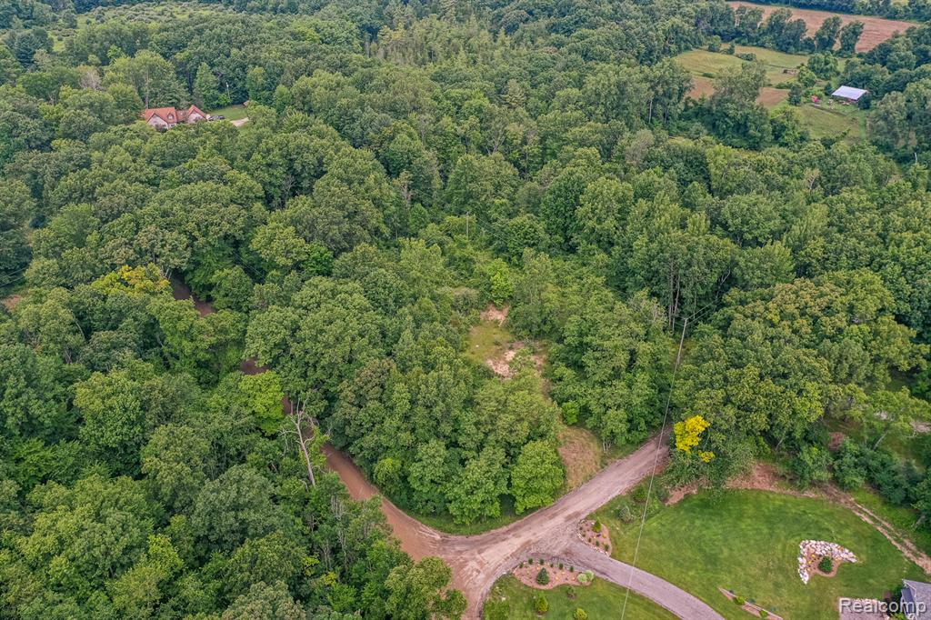 0 Pond Road Leonard, MI 48367 - Photo 5 of 9