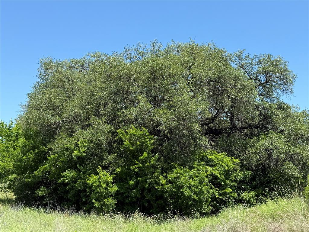 601 Chestnut Street Hico, TX 76457 - Photo 6 of 17