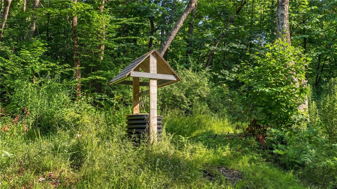 159 Seven Ponds Road Summit, NY 12175 - Photo 23 of 49 Spring