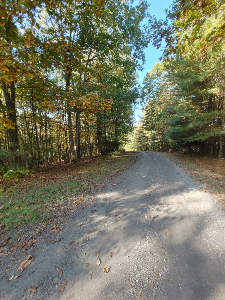 10 Upper Ridge Road, Unit 10 Meadows Of Dan, VA 24120 - Photo 17 of 30 Gallery Image 17