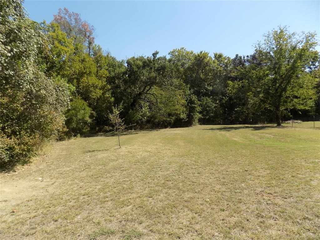 3450 Sarra Lane Springtown, TX 76082 - Photo 19 of 23 Beautiful yard view.