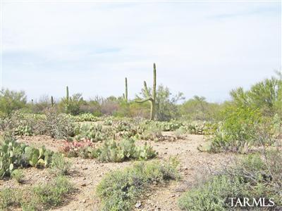 3924 South Aldon Road Tucson, AZ 85735 - Photo 1 of 3