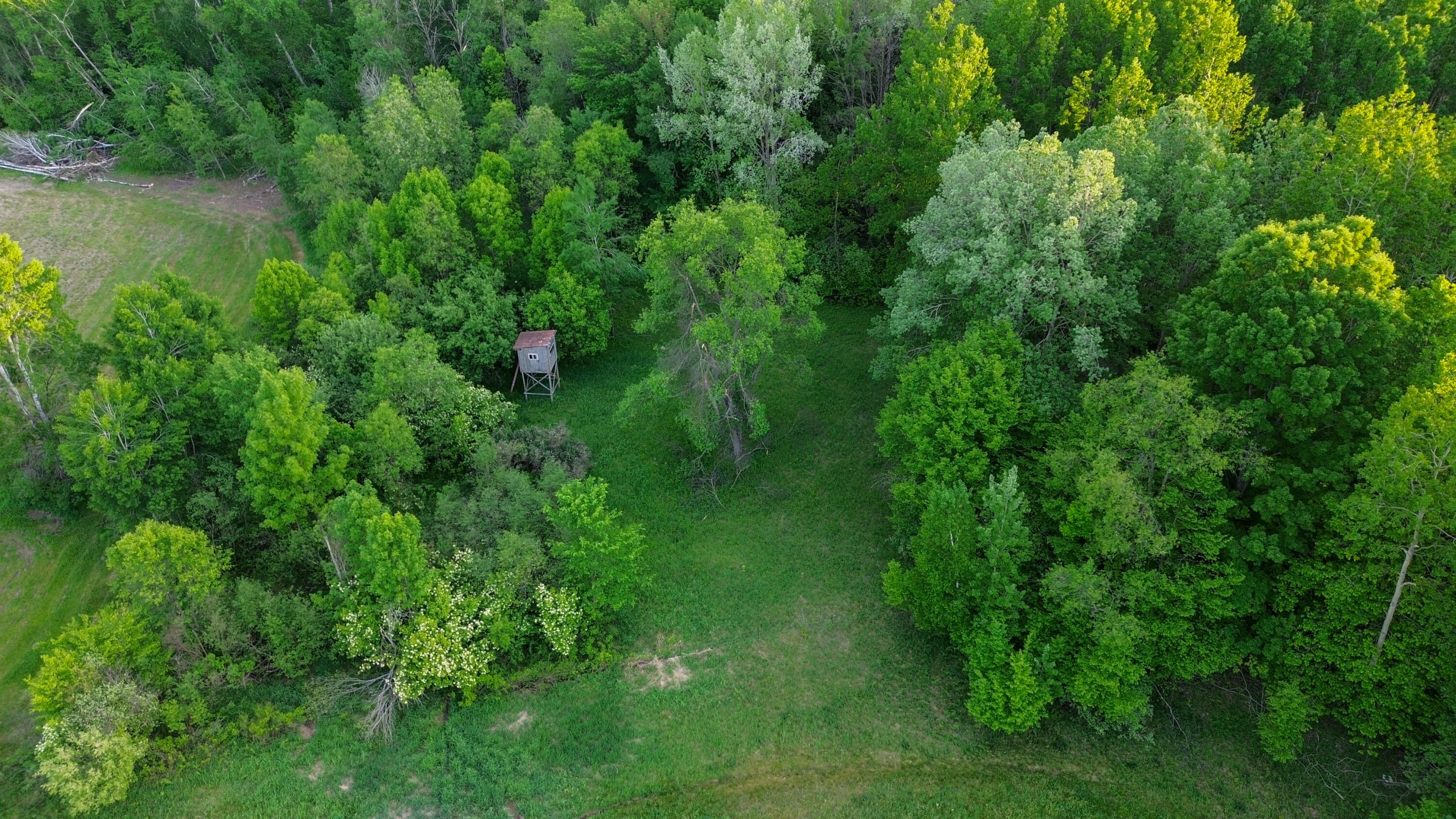 3091 East Sage Lake Road Lupton, MI 48635 - Photo 49 of 49 DJI_0216